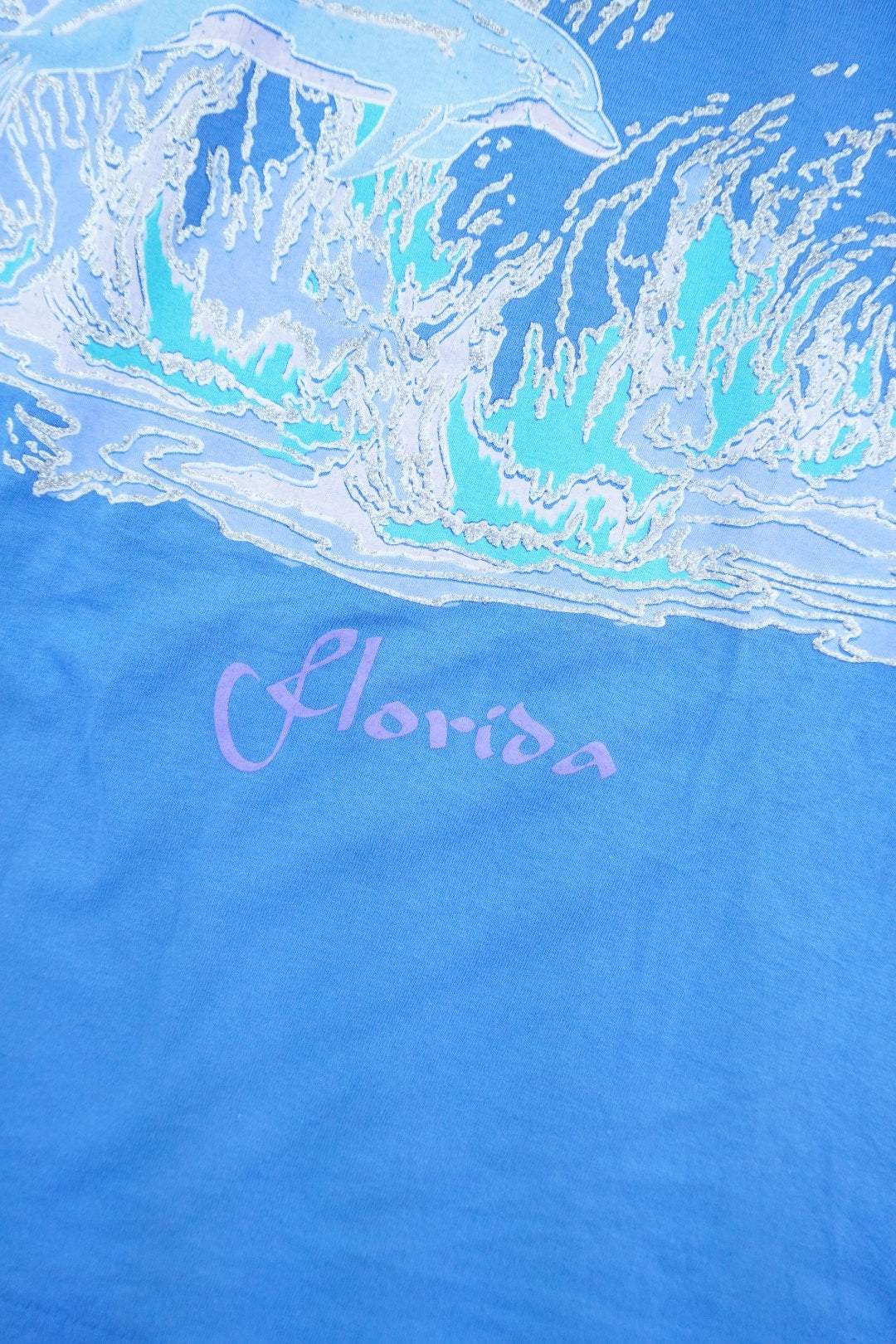 90s Fruit of the Loom Dolphin Tourist T-Shirt Blue L