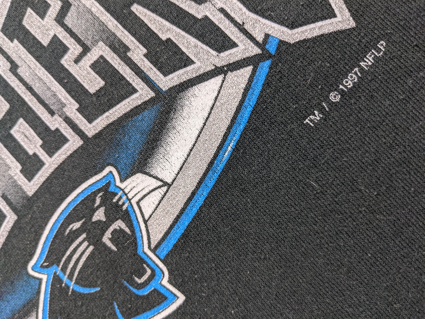 90s Carolina Panthers NFL Pro Player Sweatshirt Black