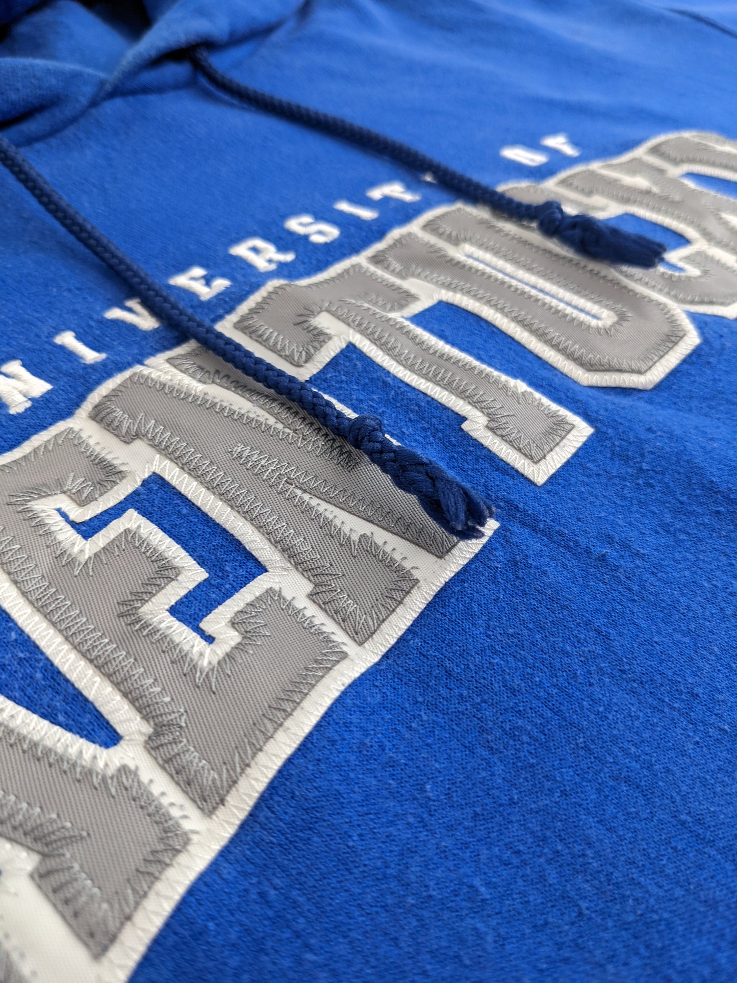 00s Champion University of Kentucky NCAA Hoodie Blue L