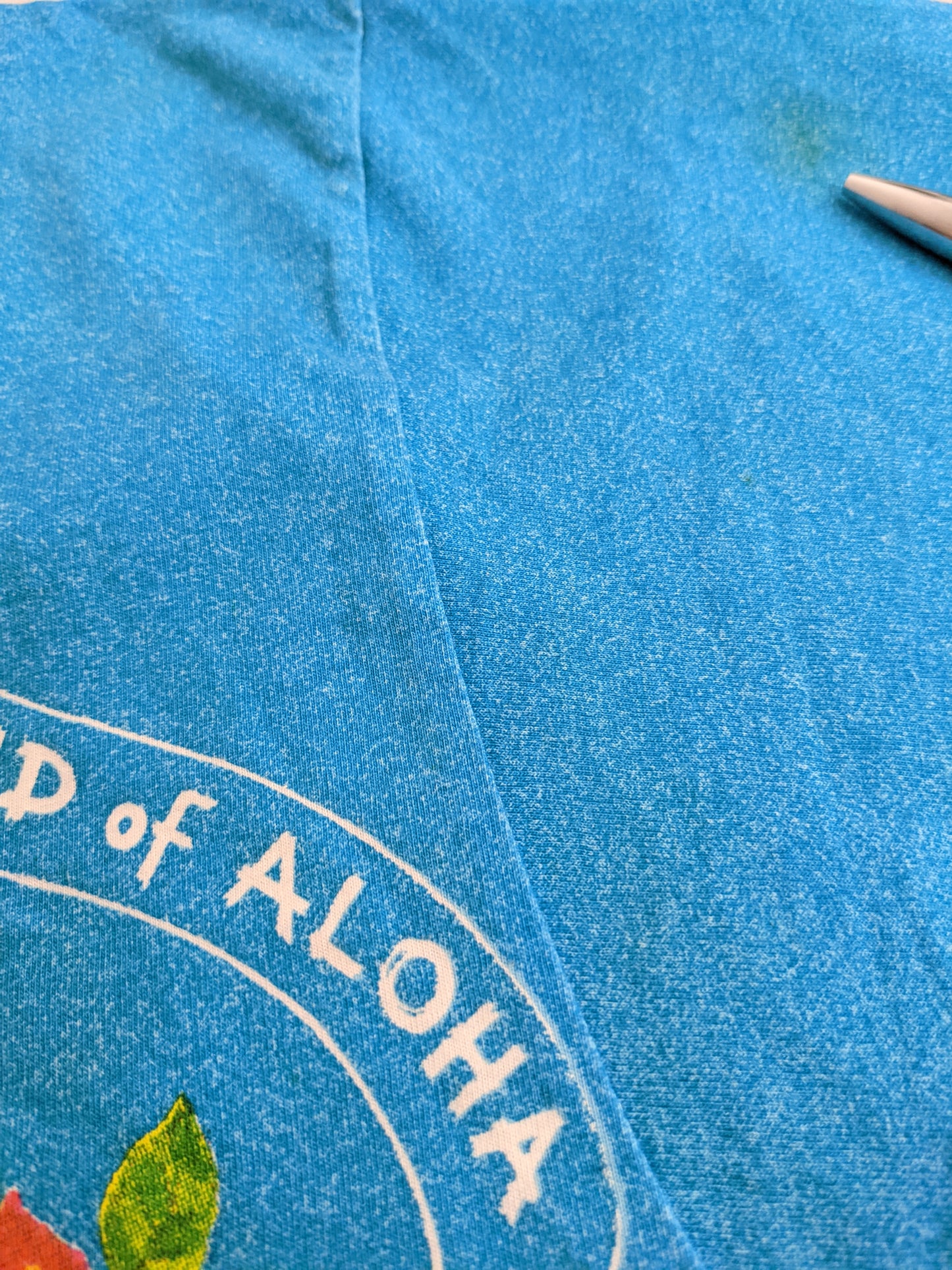 90s Meeting Sport & People Hawaii T-Shirt Blue L