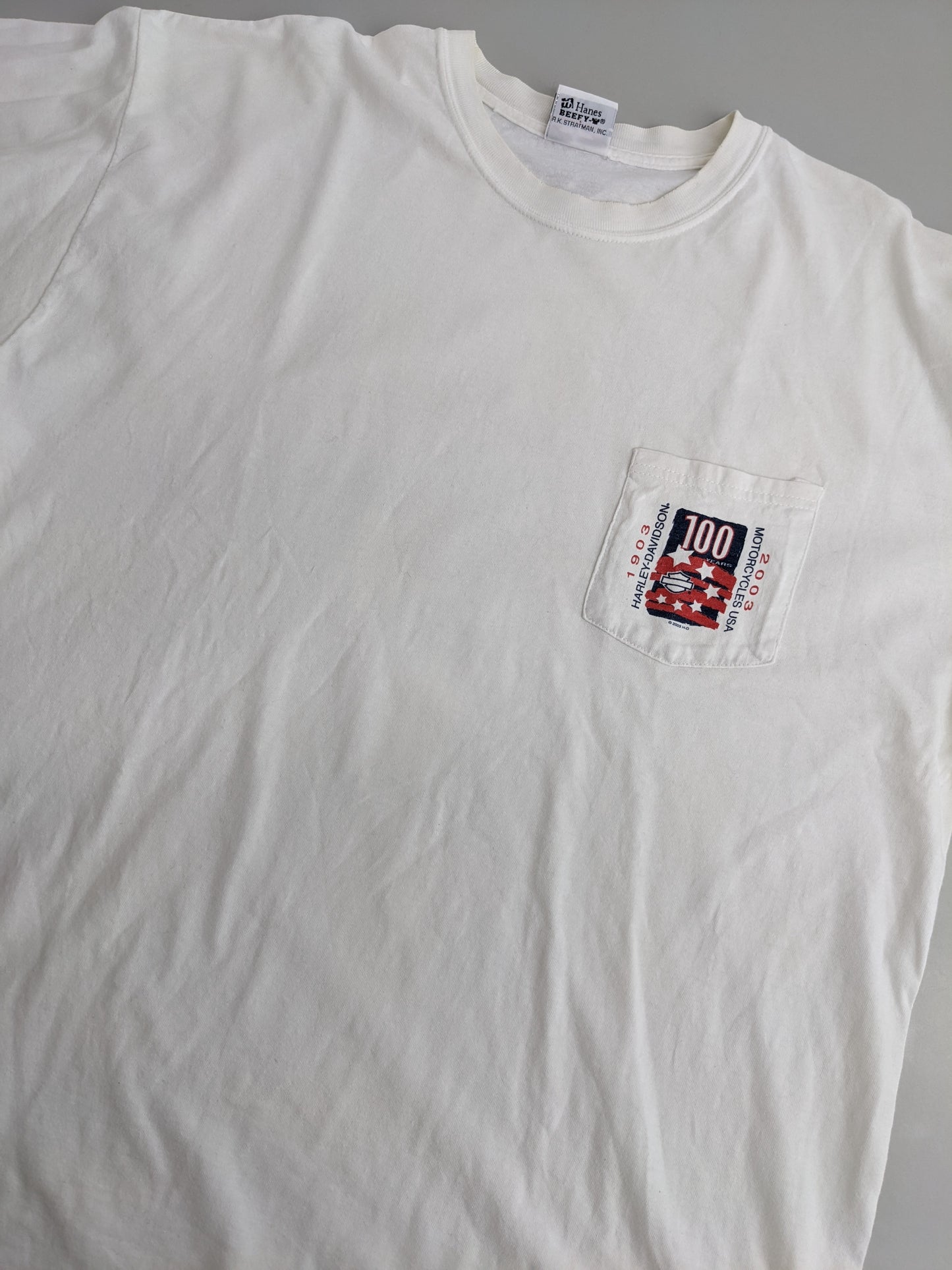 00s Harley Davidson Hanes Longsleeve White XL