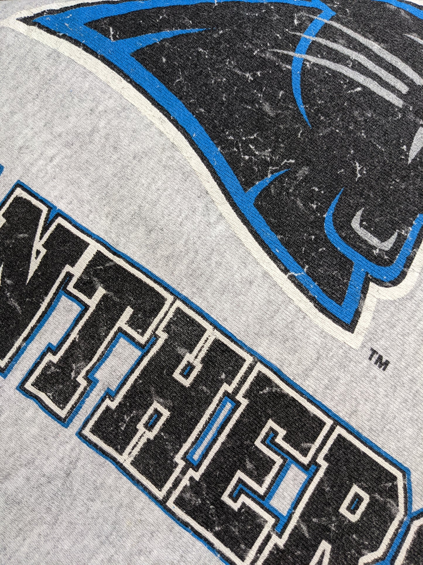 90s Carolina Panthers NFL Lee Sport Sweatshirt Grey