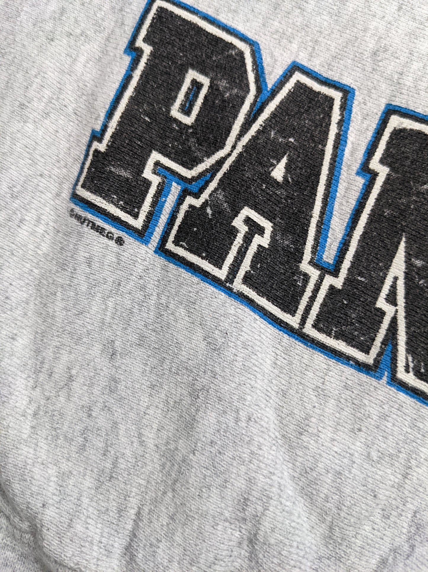 90s Carolina Panthers NFL Lee Sport Sweatshirt Grey